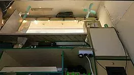 Hot babe in pink skirt, caught on hidden camera upskirt at work?