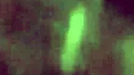 Sex With Husband Builds To Squirting Climax In Doggystyle