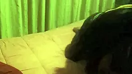 i can sit on your face my step sister is a pervert who only wants to fuck i fuck her because shes been tempting me with that ass for years - homemade sex