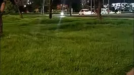 i got lost and found a pretty girl in the usa