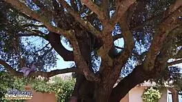 美丽18岁少女户外吸爷爷然后被深插