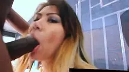 Beautiful Asian Slut From Florida Nail Salon Sucks Big Black Monster Cock Sloppily