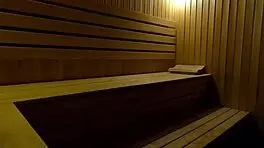 Hidden Camera Girl Masturbates In Sauna At Sports Club At Night