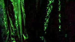 Hey, I'm fucking my stepmom in the bathroom during the tornado, she's screaming and riding me hard.