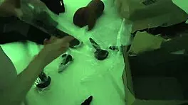 boyfriend's cock vs toy pussy and my mouth in casual amateur fun