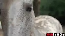 Young lesbians get wild with stepcousin. Anal and pussy action unfolds.