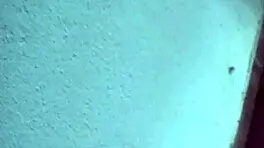 Slutty stepsister rides cock passionately