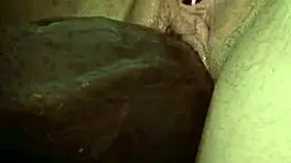 Anita Cannibas统治美洲狮小镇狂野屁股行动