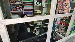 What The Fuck Is This Girl? She Seems To Want A Cock So Bad.