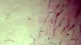 First time pussy licking turned wild with my husband