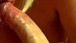 Asian Carnations Introduction