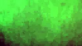 Trimmed Video Of A Young Woman With Unique Features