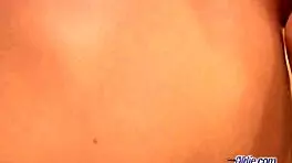 Asian Carnations Introduction