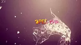 Blonde Gets Cum Covered and Pissed On in Wild Close-Up!