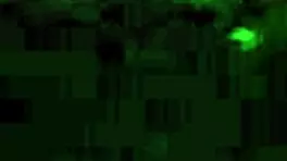 Ebony Couple Caught With Monster Cock Outside