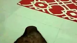 these horny lesbians are getting wild with anal riding and doggystyle fucking