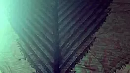 elza kom in nylon tights fetish with curvy escorts, big ass, asshole, and ebony amateurs