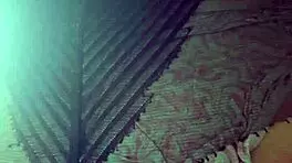 elza kom in nylon tights fetish with curvy escorts, big ass, asshole, and ebony amateurs