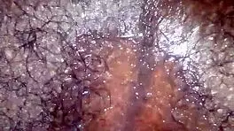 In a homemade video, the mzansi teen fingers her tight ahole.