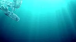 Watch Couple Film Underwater Fucking!