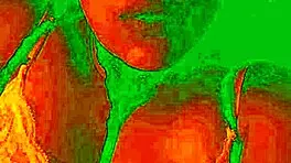 i show my horny face while my pussy gets licked by bluee