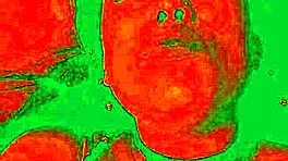 i show my horny face while my pussy gets licked by bluee