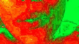 i show my horny face while my pussy gets licked by bluee