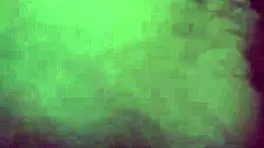 I brought this dirty bitc