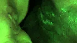 Paige Ashley Sucks And Fucks!