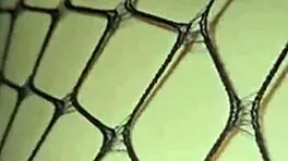 Delicate Skinny Teen Gives Her Body To Me