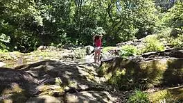 Hunt for Young Mom: Brunette Taken by Surprise in Street Fucking