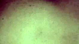 mere pados vale dever ne aakar jamke chudai kari