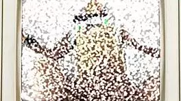 I watched Minnie Rose's pussy get filled with cum