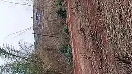 Pequena Caipira asks, Want anal fun in the cane field?