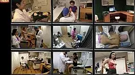 The perv doctor - ditria rose