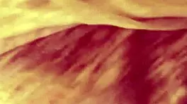 casero amor dame mas duro acaba dentro de mi