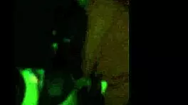 Swingers club massive cum load