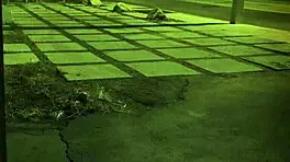 b pussy creampie xxx unless youre from the sixties and delve into it