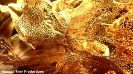 Does camila cooper take intense anal from bbc?