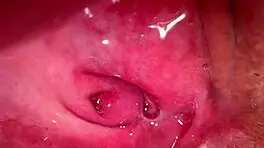 amateur pink pussy 172 days after losing her virginity