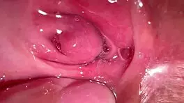 amateur pink pussy 172 days after losing her virginity