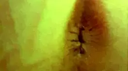 Pissing and Anal Winking for Leetdos