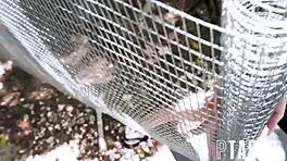 笼中少女18+穿裙子和Zac Wild和Jennifer White狂野