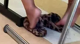 Ebony teen lightskin soles candid hidden