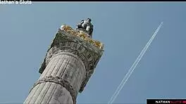 hot latina veronica leal craves an anal massage with gaping and ass to mouth