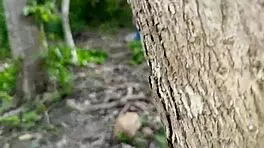 Dirty old decrepit man fucks his own busty stepdaughter in the jungle