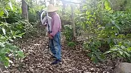 Dirty old decrepit man fucks his own busty stepdaughter in the jungle