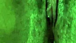 I'm a virgin, only rub, not inside.