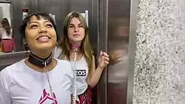 Walking With Collared Girls In Sao Paulo Exhibitionism