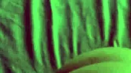 Teen gets mouth fucked by padrastro with cumshot 😈